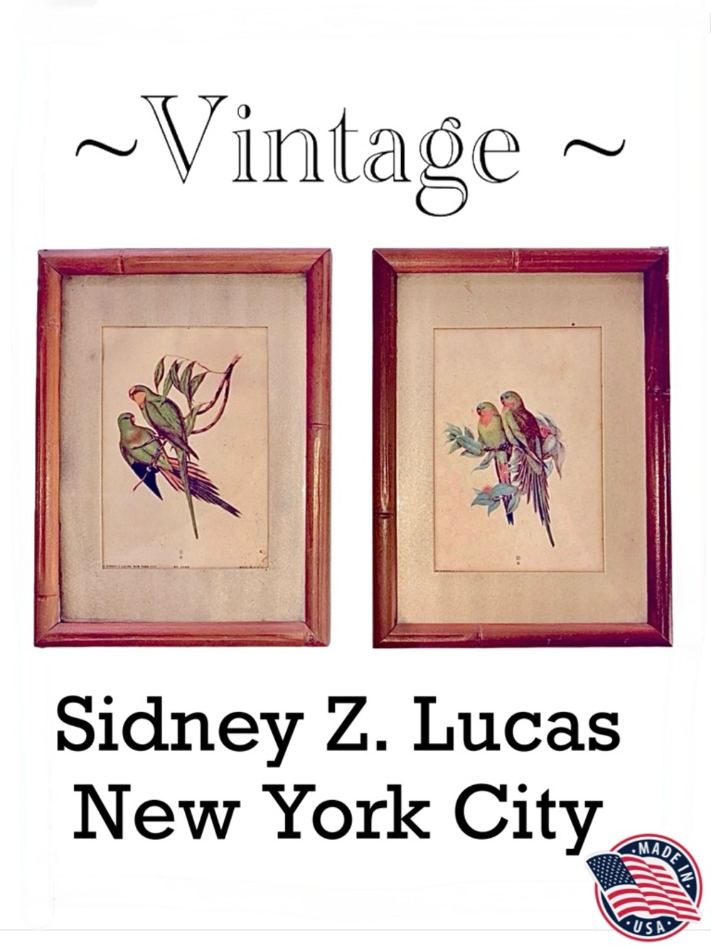 Sidney Z. Lucas New York City Framed Vintage Bird Prints